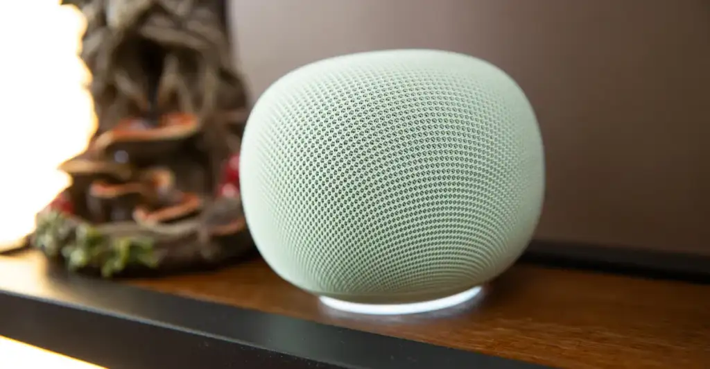 Google Home Speaker Data Drain | Smart Speaker Seller Risk Guide